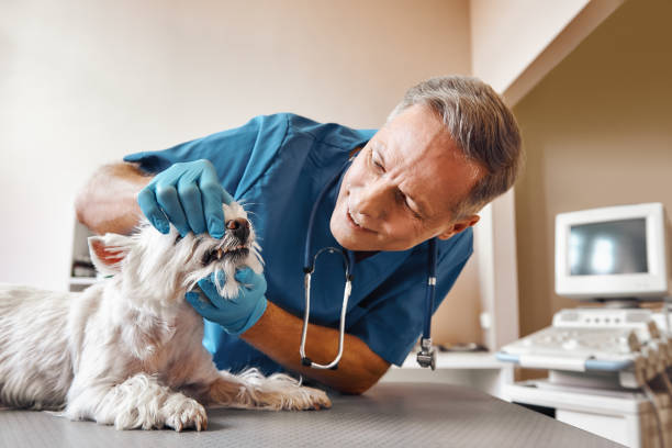 Best Emergency Dental Care for Abscessed Tooth in Eagle Pass, TX
